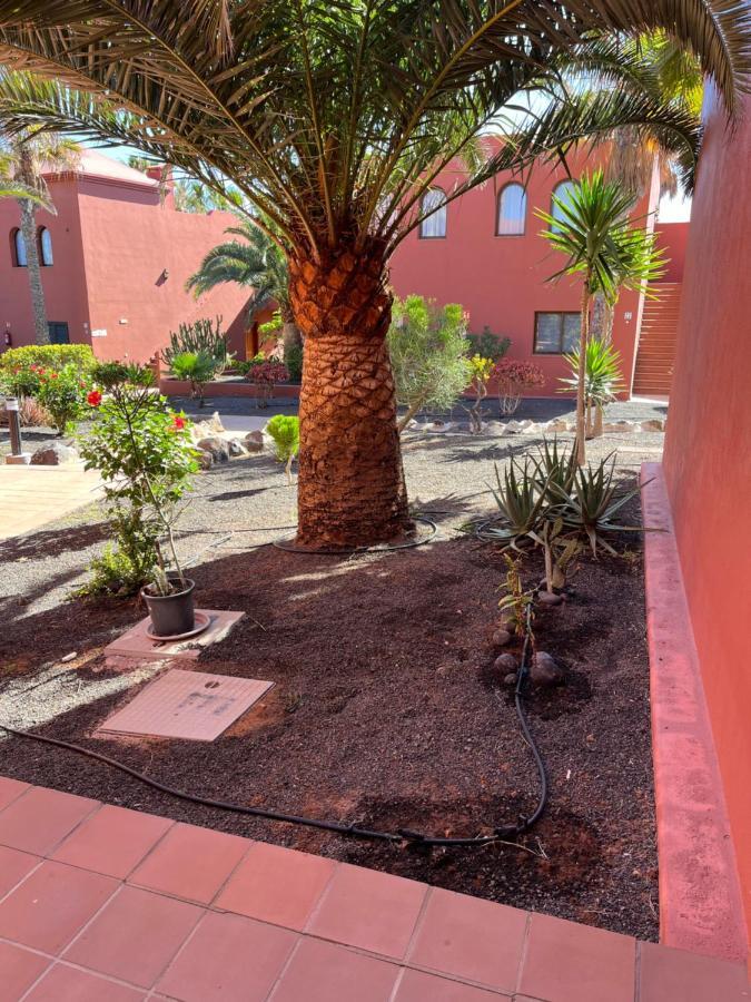 Апартаменты Casa Mimi Oasis Tamarindo Коральео Экстерьер фото